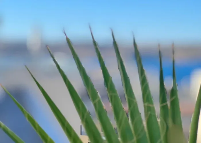 Modern & Spacious 2br Penthouse With Terrace - Close To Qawra Apartament